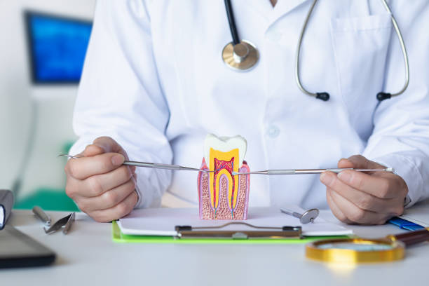 Best Emergency Dental Services for Seniors in Burlington, CO